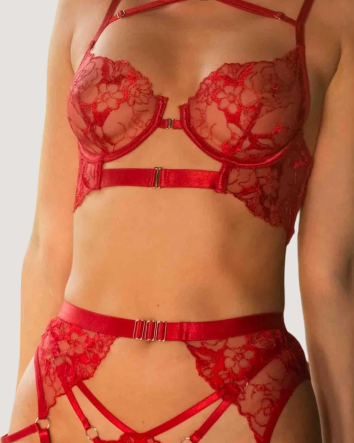 Desirelines Harness Lingerie Set