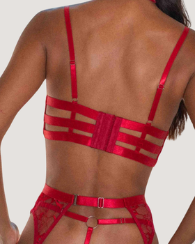 Desirelines Harness Lingerie Set